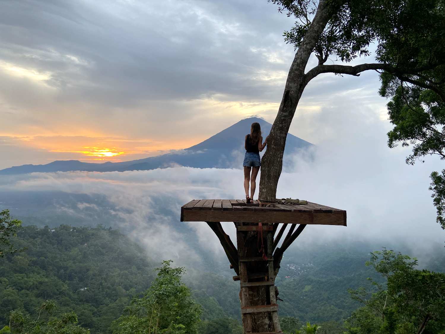 A wooden viewing platform built around a tree overlooking a misty mountain valley with a volcano under a sunset sky.y