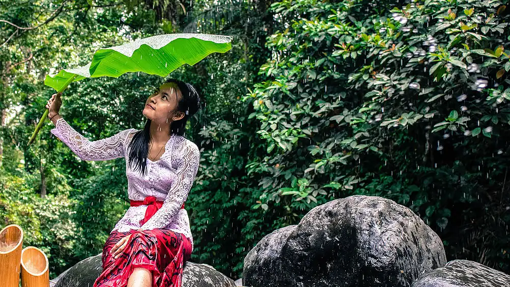 A woman in traditional dress shelters under a large banana leaf amidst lush green garden foliage and rain.